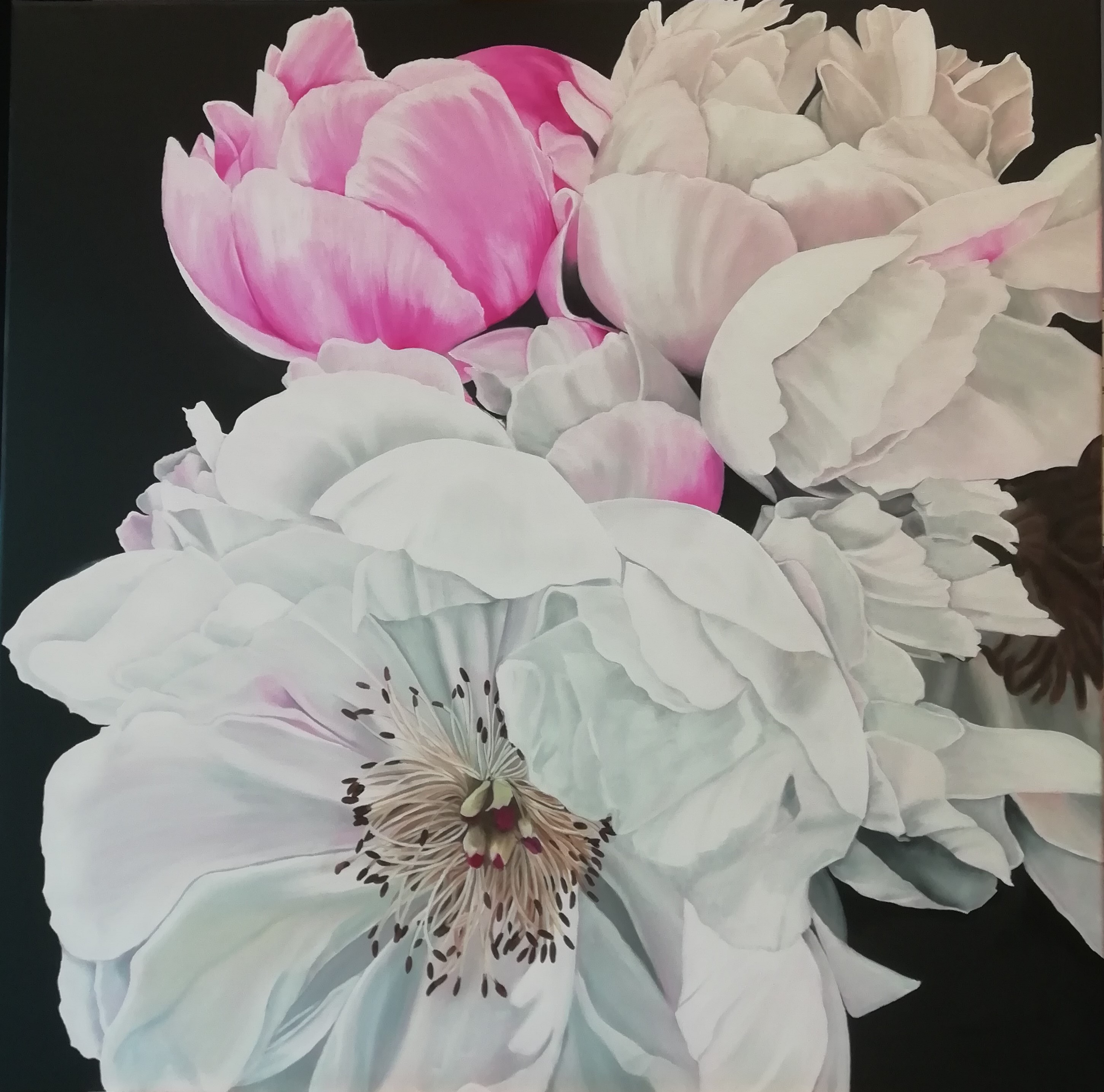 Pivoines